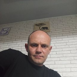 , 40, 
