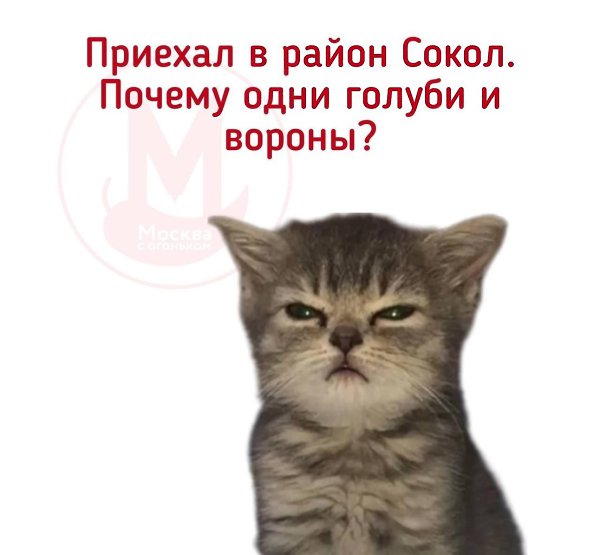      - 7
