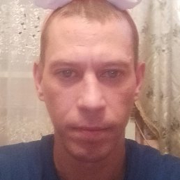 ���������, �������-���������, 37 ���