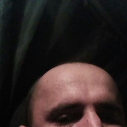 �����, ������, 37 ���