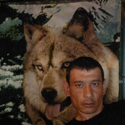 , 52, 