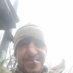 ����, ������, 40 ���