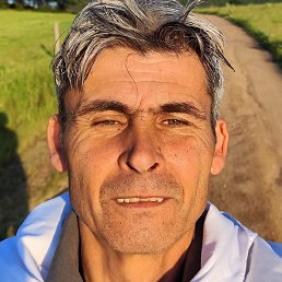 Valentin, �����, 51 ���