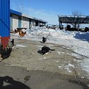 ���� ����, ������ - ��������� 12 ������ 2024 � ������ ���� ����������