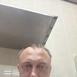 ���� ����, �����, 41 ��� - ��������� 15 ������� 2026