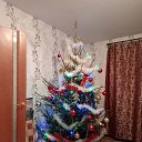 ���� ���������, �����-���������, 59 ��� - ��������� 11 ������ 2026 � ������ ������ ������������