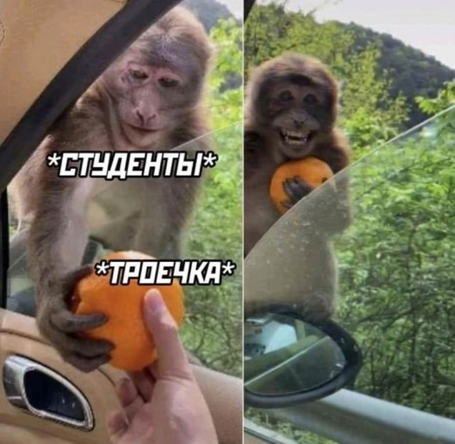   !)