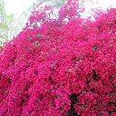 ���� Svet, ���������, 57 ��� - ��������� 10 ������� 2023