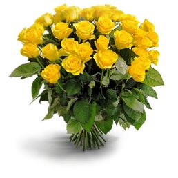 ������, �����, 18 ���