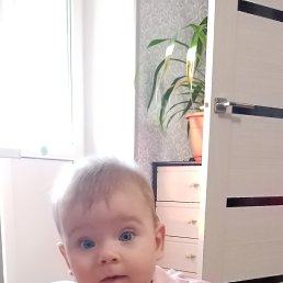 ���� ������, ������, 43 ���� - ��������� 4 ���� 2025