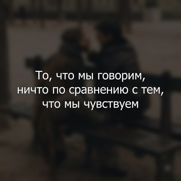    - 7  2025  11:41