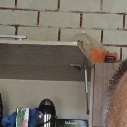 ���������, �����, 66 ���