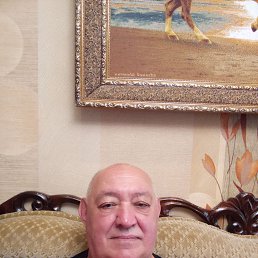 , 59, 