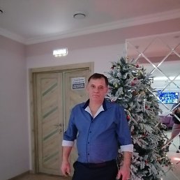 , 51 , 