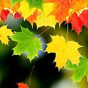 ���� �����, ����������� - ��������� 13 �������� 2025 � ������ ���� ����������