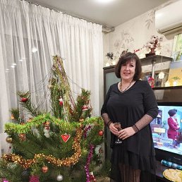 ���� ��������, ���������, 56 ��� - ��������� 14 ����� 2026