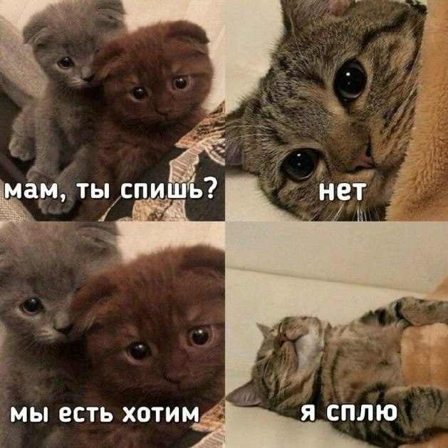 ��� ���� � ����� �� �� - 1 ������� 2026 � 10:02