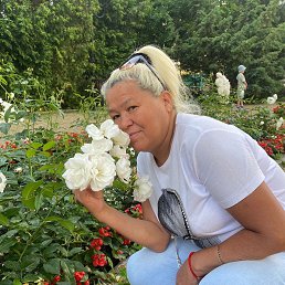 , 60, -