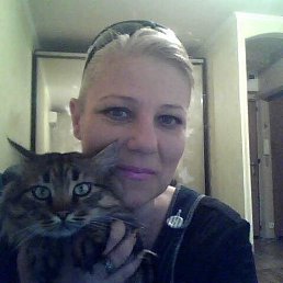 , 54, 