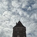 ���� ������, �������, 62 ���� - ��������� 13 ��� 2025 � ������ ���� ����������