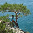 ���� ***���������***, ����� - ��������� 24 ������� 2026 � ������ ���� ����������