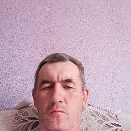 , 51, 