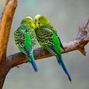 ���� ���, �������, 47 ��� - ��������� 31 ������� 2023 � ������ ���� ����������