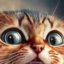 ���� �����, ����������, 40 ��� - ��������� 21 ������ 2024 � ������ ���� ����������