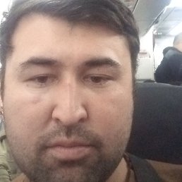 Bobur, �����, 31 ���