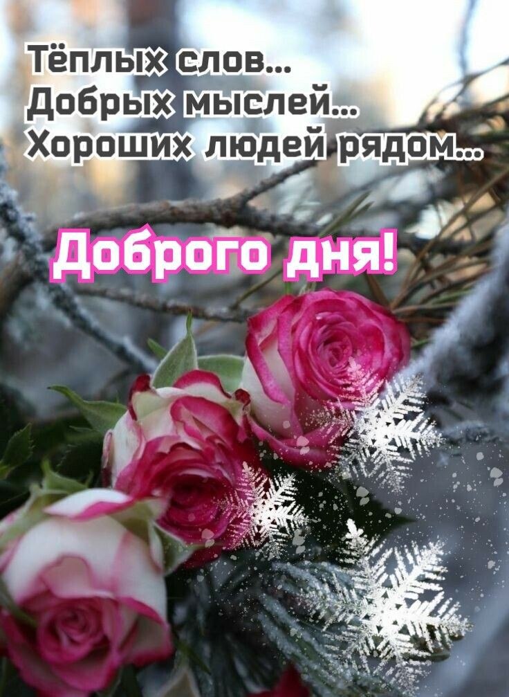     , ,      . ...