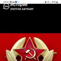 ���� ������, ���������, 43 ���� - ��������� 22 ������� 2024