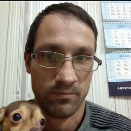 �������, ����, 37 ���