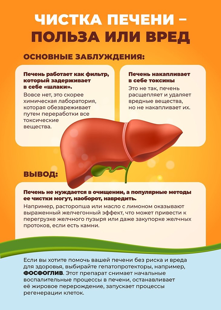 Очищение печени – процедура, которая активно навязывается в обществе вот уже много лет. Многие верят ...