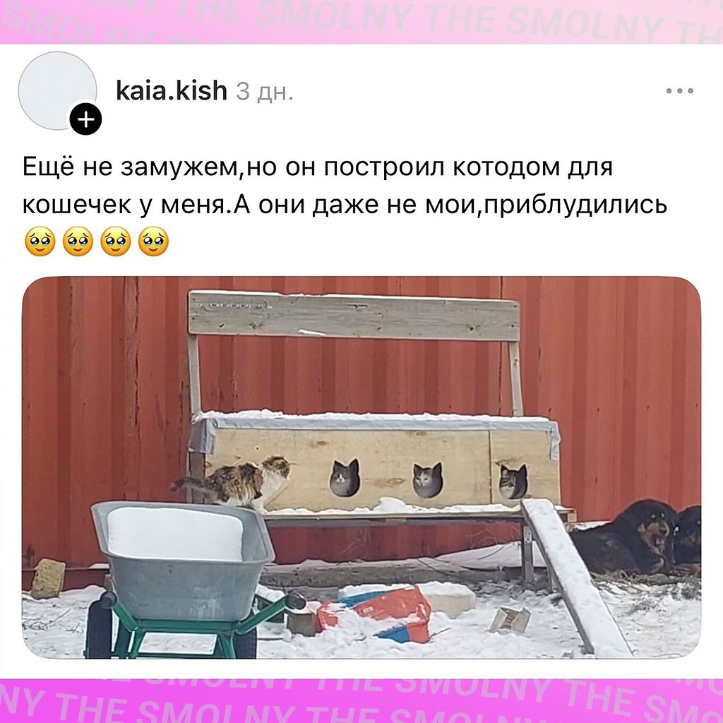 ������ �������� ����� ������, ��� ��� ������ ����� �����.�������� ������� ��-���� ����������! - 8
