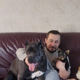 ���� ������, �������, 43 ���� - ��������� 1 ������� 2026