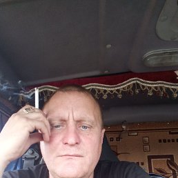 , 41, 