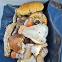 ���� ����������, �����-���������, 51 ��� - ��������� 8 �������� 2025 � ������ ���� ����������