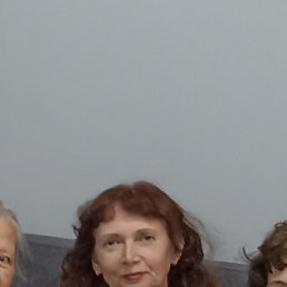 , 61, 