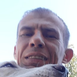 �����, ������, 41 ���