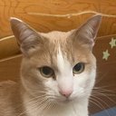 ���� ������, ������, 36 ��� - ��������� 10 ��� 2025 � ������ ���� ����������