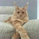 ���� ��������, �����, 66 ��� - ��������� 8 ������ 2026