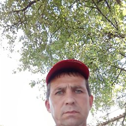 ���� �����, ������, 52 ���� - ��������� 13 ����� 2024