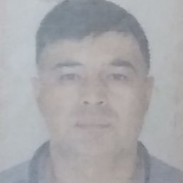 ������, �����, 45 ���