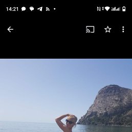 , 53, 