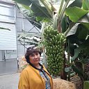 ���� �������, �������� - ��������� 8 ������� 2026