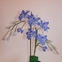  Alena, , 56  -  18  2025     