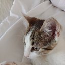 ���� �������, ����������� - ��������� 12 ������ 2025 � ������ ������ ��������