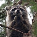 ���� Bmv, ��������, 59 ��� - ��������� 20 ������ 2025 � ������ ���� ����������