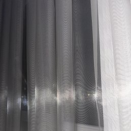 ���� �������, ����������, 81 ��� - ��������� 18 ������ 2026