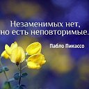 ���� �����, ��������, 59 ��� - ��������� 18 ������� 2024 � ������ ���� ����������